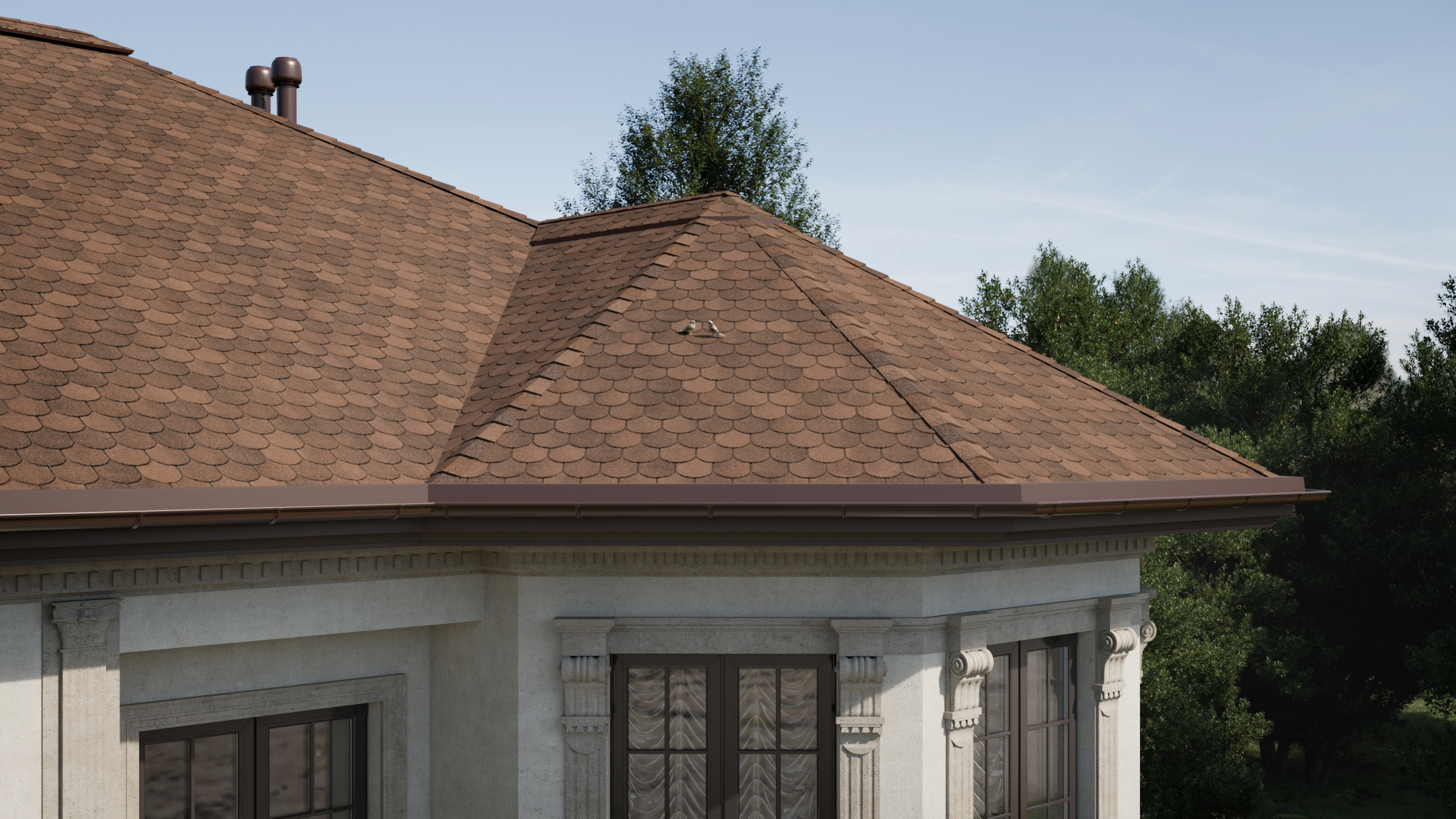 ASSISI Marrone 434 ASSISI Marrone 434