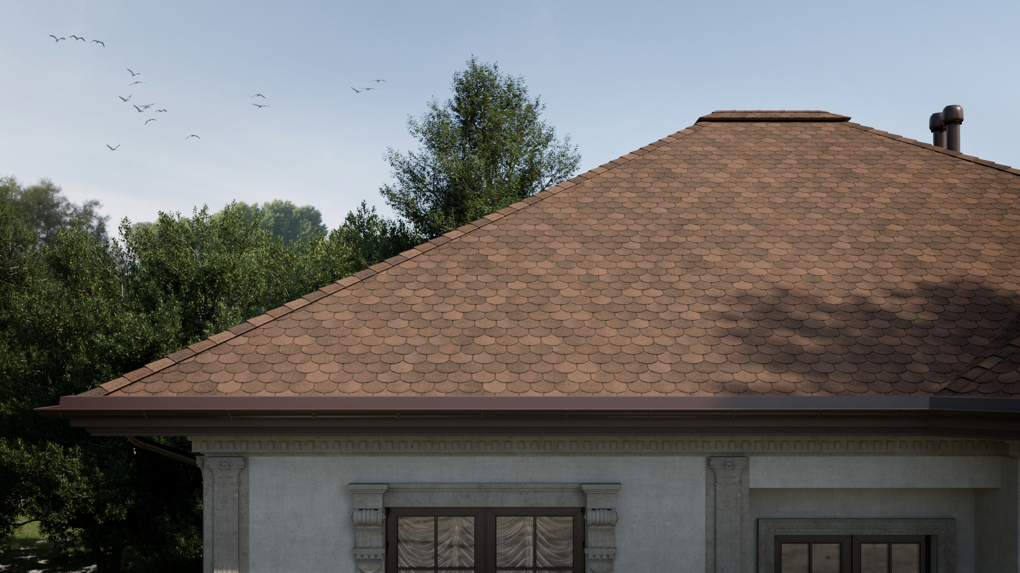 ASSISI Marrone 434 ASSISI Marrone 434